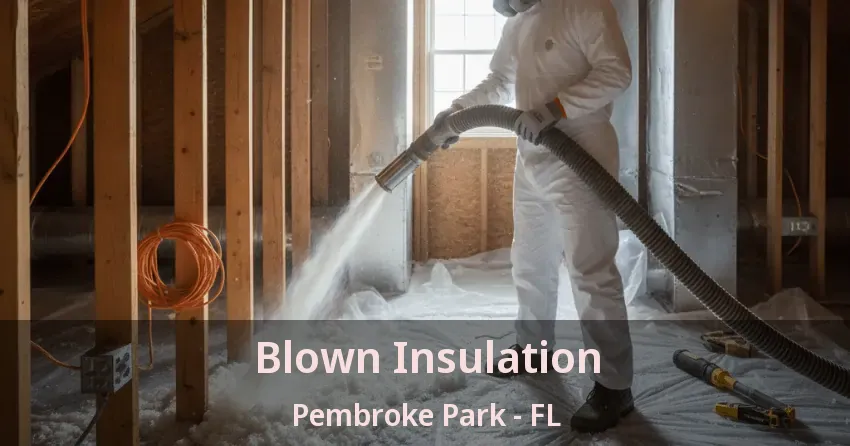 Blown Insulation Pembroke Park - FL