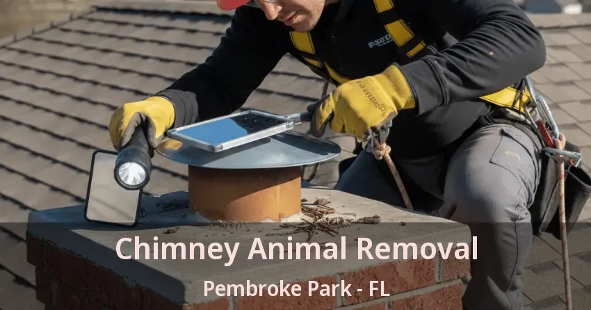Chimney Animal Removal Pembroke Park - FL