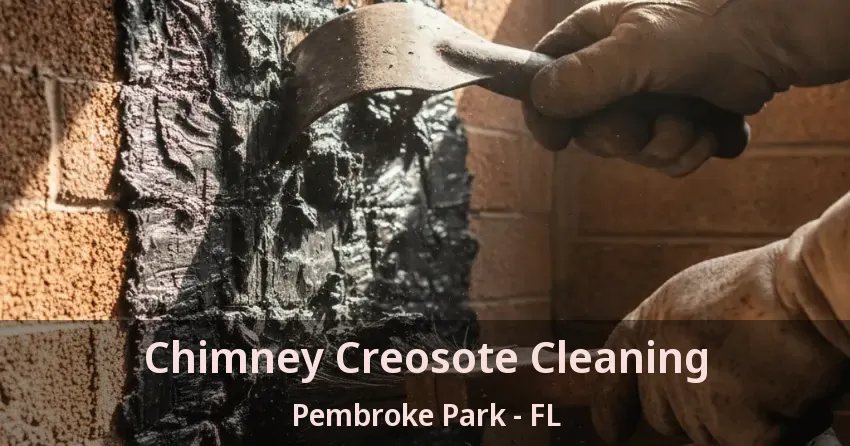 Chimney Creosote Cleaning Pembroke Park - FL