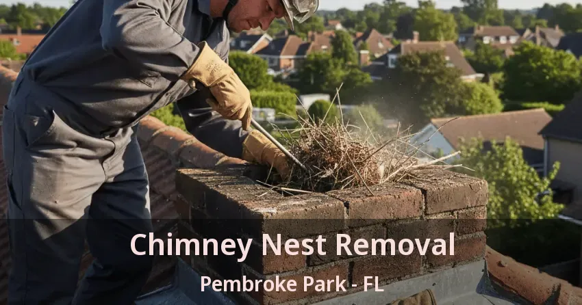 Chimney Nest Removal Pembroke Park - FL Chimney Nest Removal Pembroke Park - FL