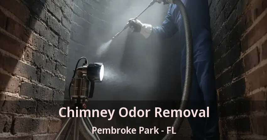 Chimney Odor Removal Pembroke Park - FL