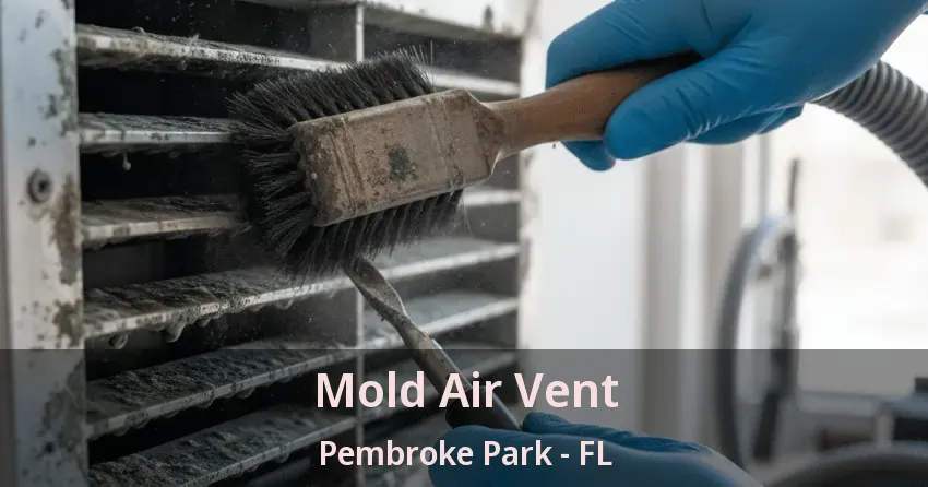 Mold Air Vent Pembroke Park - FL Mold Air Vent Pembroke Park - FL