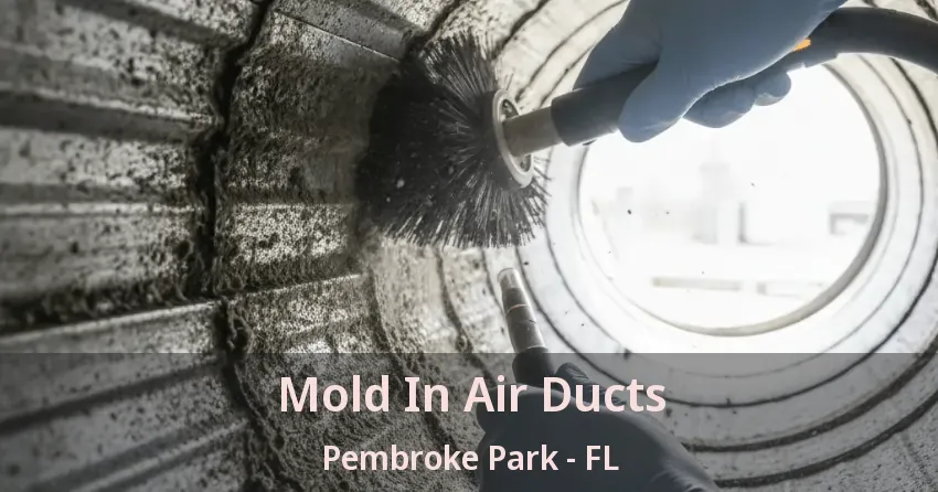 Mold In Air Ducts Pembroke Park - FL