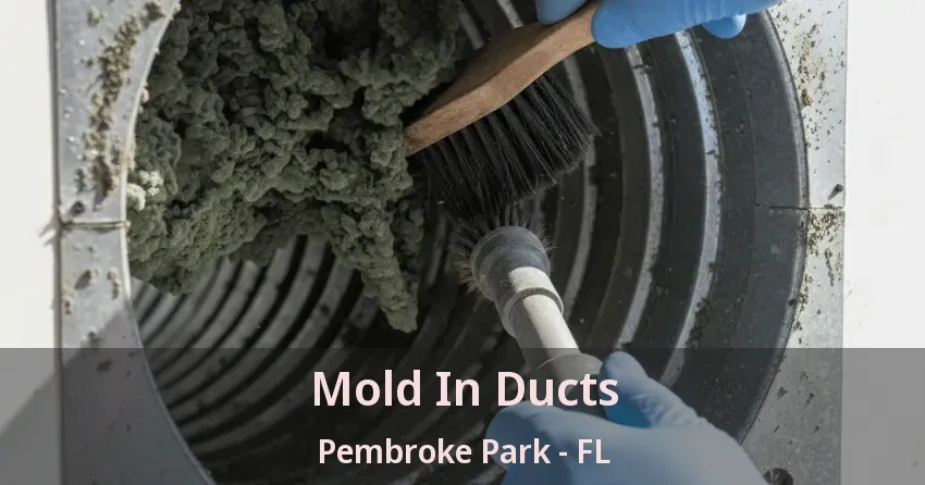 Mold In Ducts Pembroke Park - FL