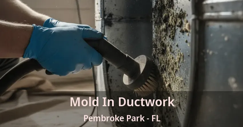 Mold In Ductwork Pembroke Park - FL Mold In Ductwork Pembroke Park - FL