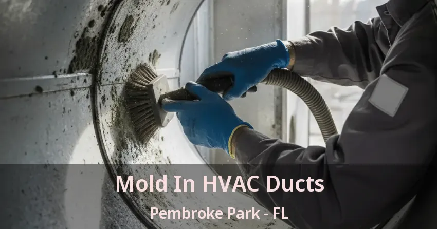 Mold In HVAC Ducts Pembroke Park - FL
