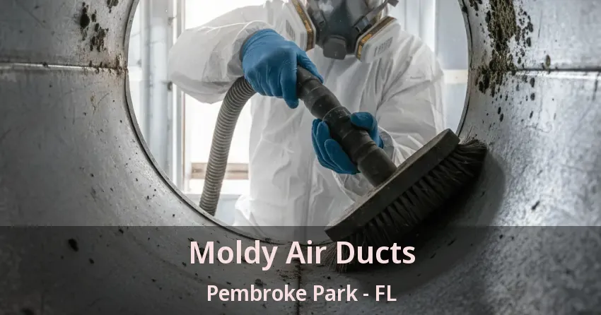 Moldy Air Ducts Pembroke Park - FL